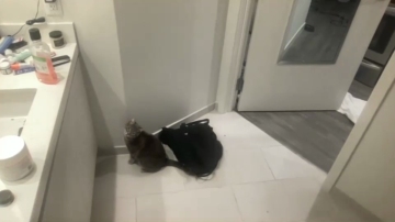 College_Twink20  06-08-2021 video show hot